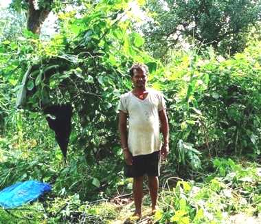 नारायणपुर जिले में 5 हजार 767 हितग्राहियों को मिला वनाधिकार पट्टा