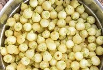 महुआ से शराब बनाने के लिए धुरागांव में डिस्टिलरी प्लांट लगाने की कवायद