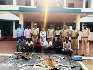 दंतेवाड़ा जंगल में 6 शिकारी गिरफ्तार, बाघ-तेंदुए का करते थे शिकार