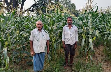 आधुनिक खेती की मिसाल बने रामचंद्र साहू, स्वीट कॉर्न और नैनो उर्वरक से बढ़ी आय