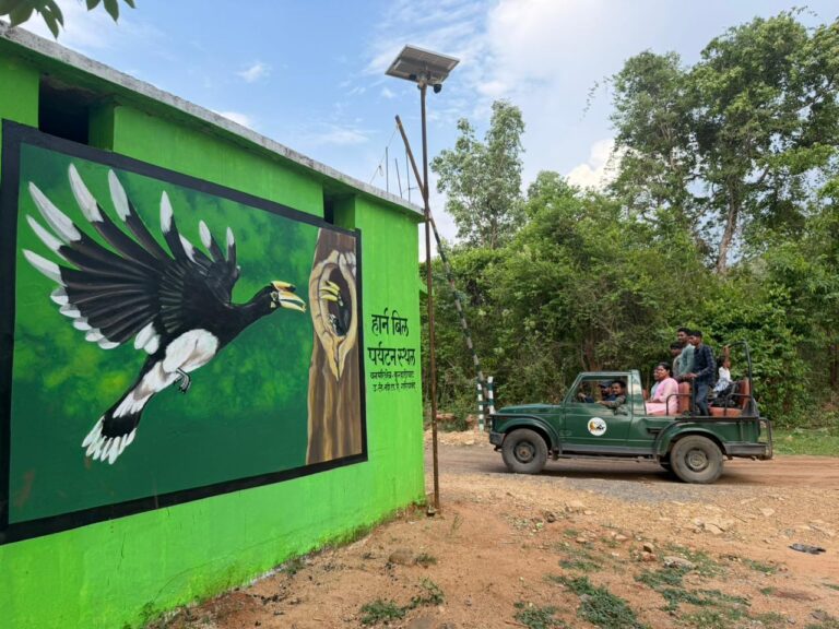 हॉर्नबिल संरक्षण के साथ स्थानीय युवाओं को मिलेगा रोजगार का नया अवसर-वन मंत्री केदार कश्यप