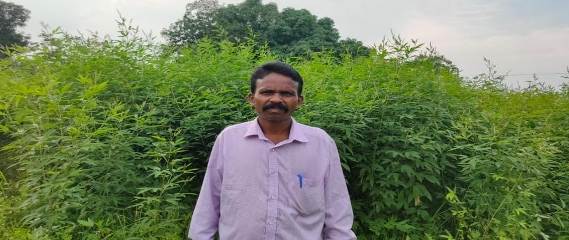 माटी का लाल, समृद्धि की मिसाल: समन्वित खेती से तिजाराम ने बदली अपनी तकदीर
