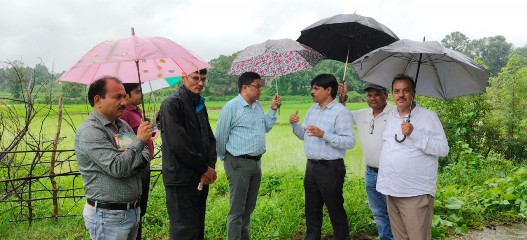 बारिश के बीच खेतों में पहुंचा कृषि अमला, जवाफुल धान की जैविक खेती और सन बीज उत्पादन पर जोर