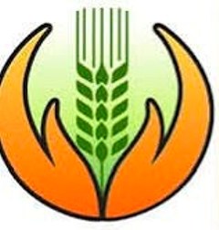 प्रधानमंत्री फसल बीमा योजना पर धमतरी के किसानों का बढ़ा भरोसा, 80,920 किसानों ने कराया बीमा