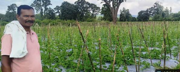 वैज्ञानिक खेती से बदली किसान की तकदीर, एक एकड़ में करेला उत्पादन से लाखों की आय; बजरंग बने क्षेत्र के किसानों के लिए मिसाल
