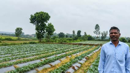 सूक्ष्म सिंचाई से बदली खेती की तस्वीर, कम पानी में बढ़ा उत्पादन और किसानों की आय