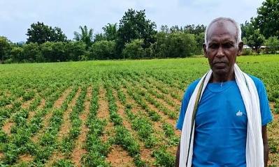 NMEO योजना से बदली किसान बेसाहू राम की खेती की तस्वीर, उन्नत मूंगफली बीज से बढ़ी बेहतर उत्पादन की उम्मीद