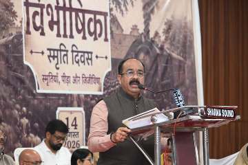 विभाजन विभीषिका स्मृति दिवस कार्यक्रम में शामिल हुए उप मुख्यमंत्री अरुण साव