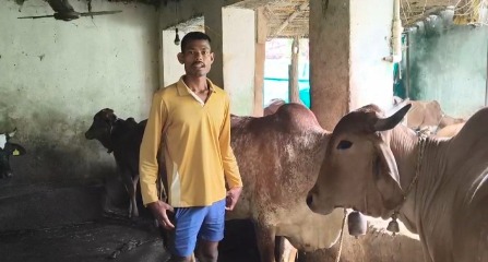 राज्य डेयरी उद्यमिता विकास योजना बनी बेरोजगार युवा के स्वावलंबन की मजबूत नींव