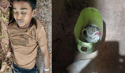 सोते हुए 13 साल के बच्चे को करैत ने डसा, इलाज से पहले बिगड़ी हालत, मौत