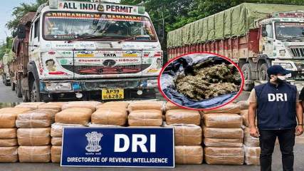 DRI का देशव्यापी ड्रग्स नेटवर्क पर बड़ा प्रहार: 740 किलो के करीब गांजा-चरस जब्त, 13 गिरफ्तार; रायपुर में दो ऑपरेशन में 500 किलो गांजा पकड़ा