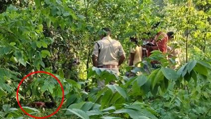 तीन दिन से लापता 7 साल की बच्ची की मिली लाश, दुष्कर्म के बाद हत्या की आशंका, जांच में जुटी पुलिस