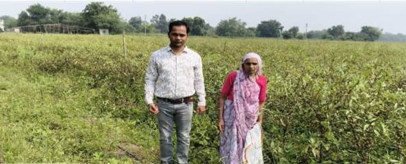 ग्राम ढाबाडीह के किसानों ने परंपरागत कृषि छोड़ बीज उत्पादक बने,आय में 75 प्रतिशत का हुआ इजाफा