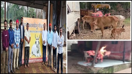 ओडिशा के कोटपाड़ में कत्लखाने से 27 गायों का रेस्क्यू, करीब 9 क्विंटल गौमांस बरामद; पूरे नेटवर्क की जांच की मांग