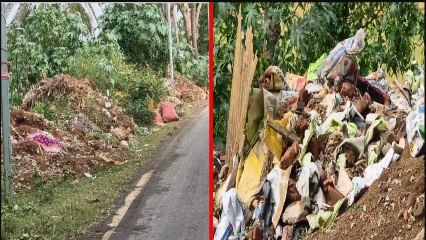 सार्वजनिक स्थानों पर कचरा फेंकना पड़ेगा महंगा, 10 हजार रुपये तक जुर्माने का प्रावधान; शिकायतकर्ता को मिलेगा 10 हजार का इनाम